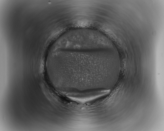 X0000094190640200710261132