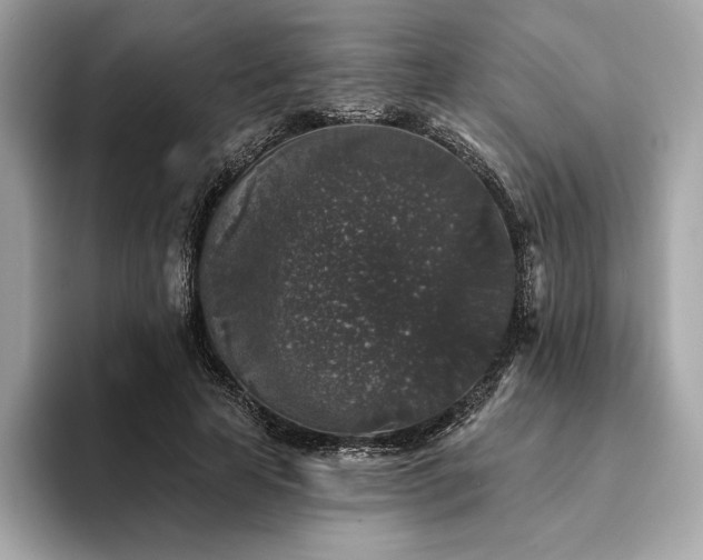 X0000094190641200710261132