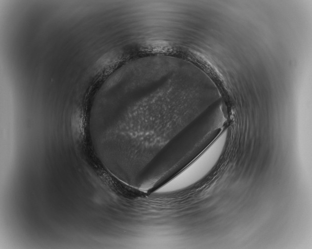 X0000094190643200710261132