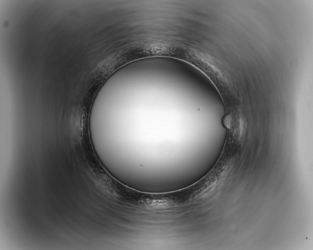 X0000094190645200710261132