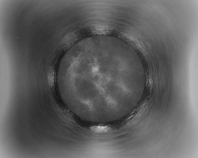 X0000094190647200710261132