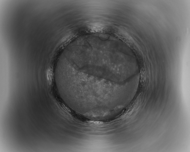 X0000094190648200710261132