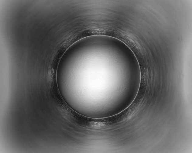 X0000094190649200710261132