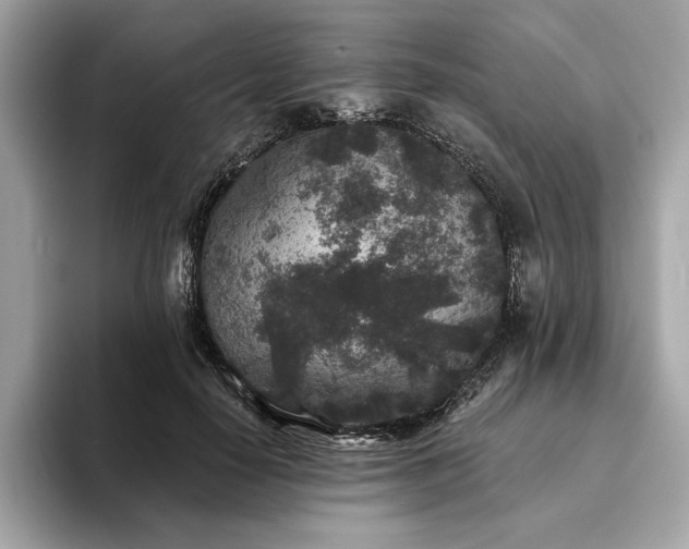 X0000094190650200710261132
