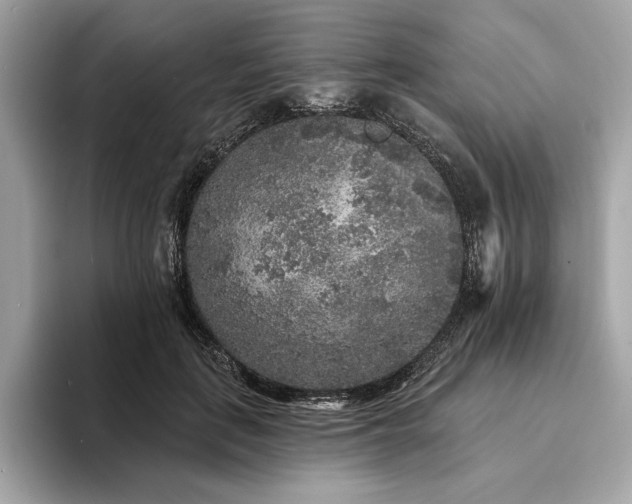 X0000094190651200710261132