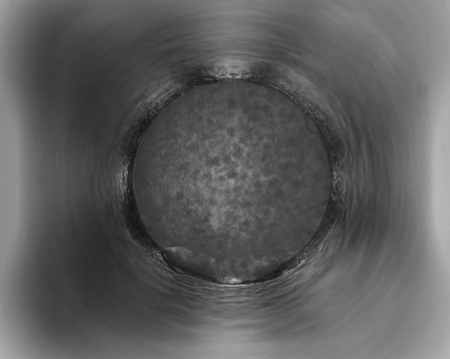 X0000094190652200710261132