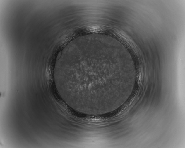 X0000094190653200710261132