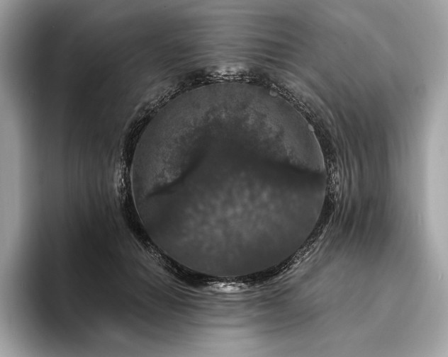 X0000094190654200710261132