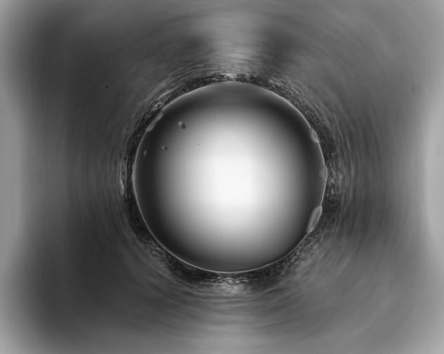 X0000094190656200710261132