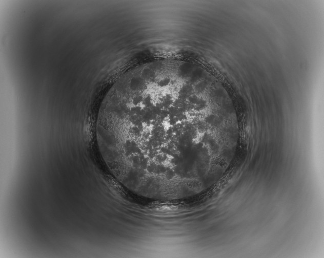 X0000094190658200710261132