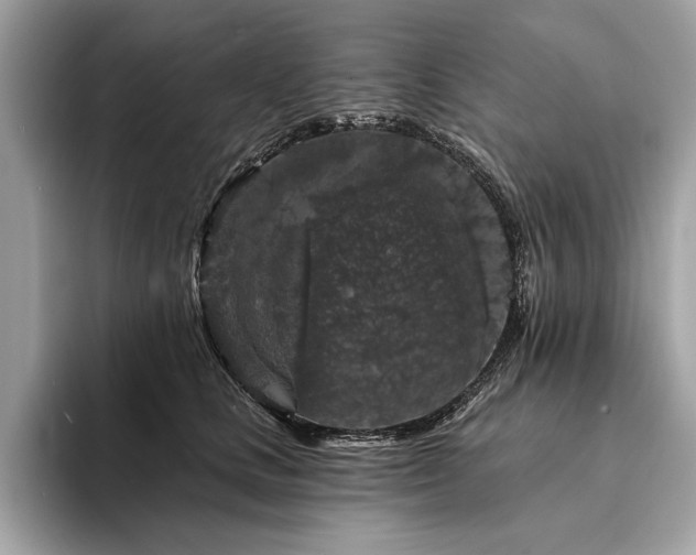 X0000094190661200710261132