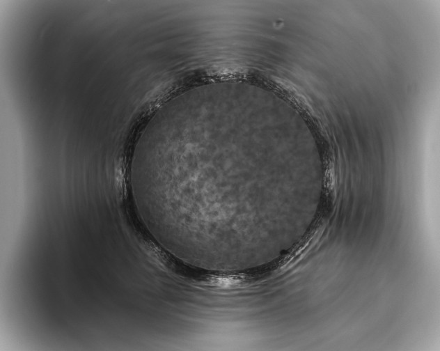 X0000094190662200710261132