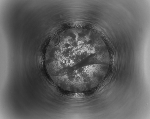 X0000094190663200710261132