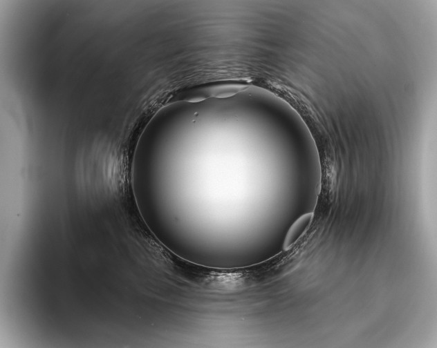 X0000094190665200710261133
