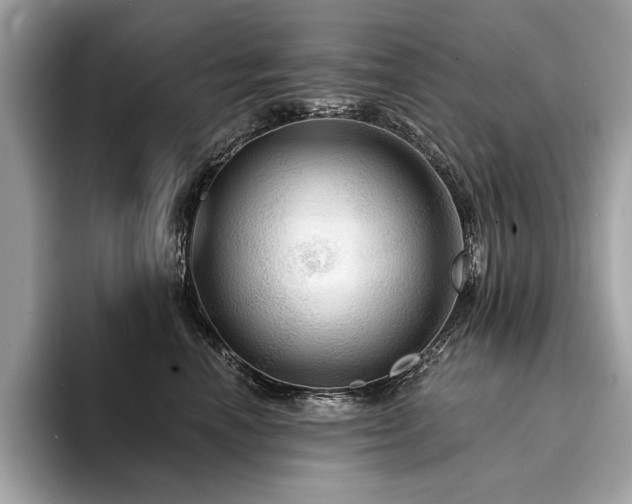 X0000094190666200710261133