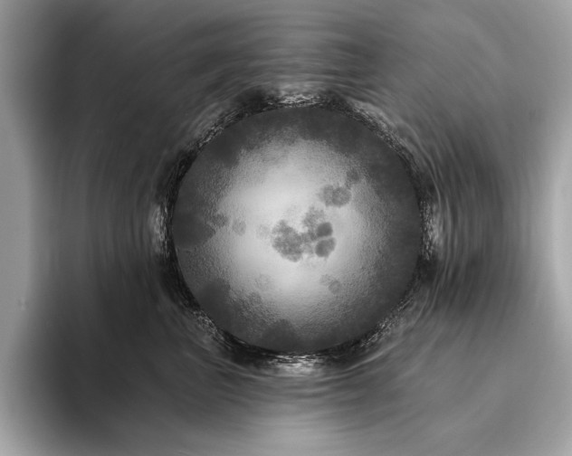X0000094190667200710261133