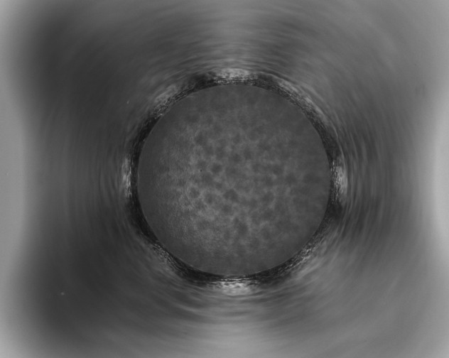 X0000094190668200710261133