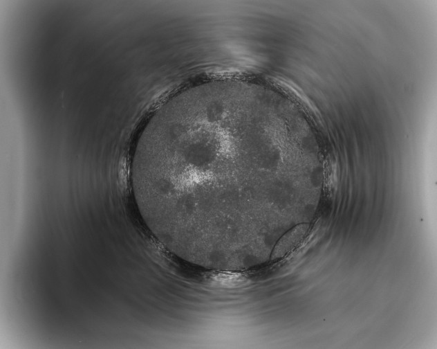 X0000094190669200710261133