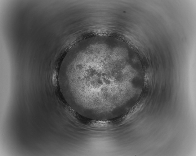X0000094190671200710261133