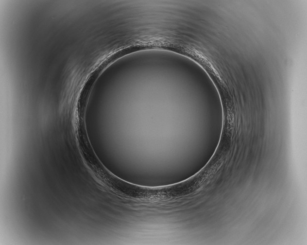 X0000094190674200710261132