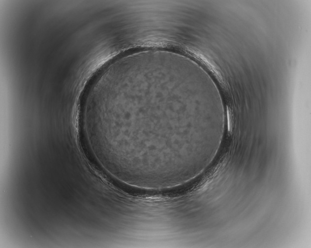 X0000094190675200710261132