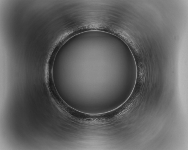 X0000094190678200710261132