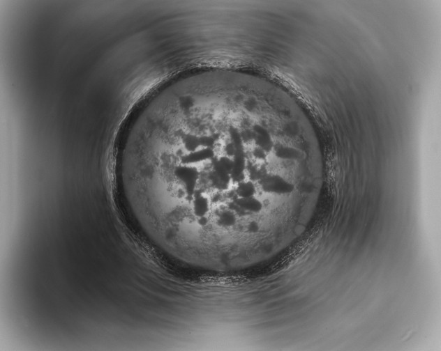 X0000094190679200710261132