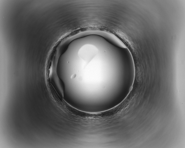 X0000094190680200710261132