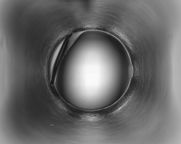 X0000094190681200710261132