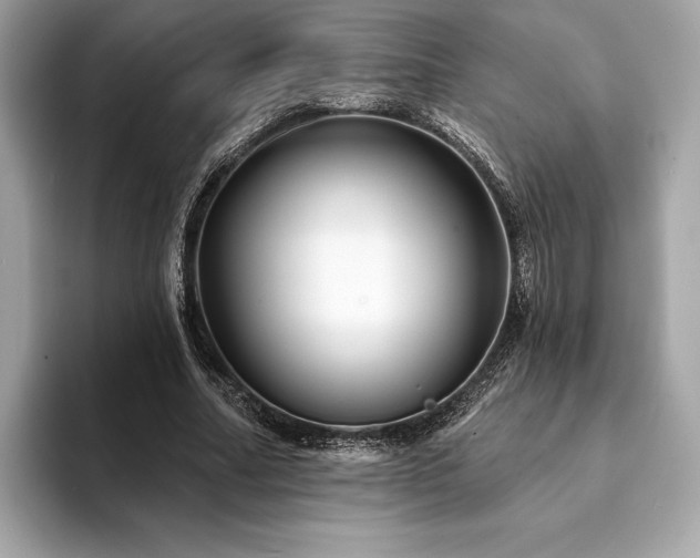 X0000094190682200710261132