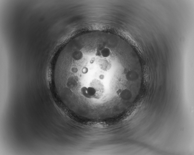 X0000094190683200710261132