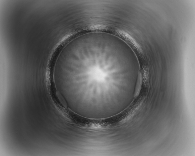 X0000094190684200710261132