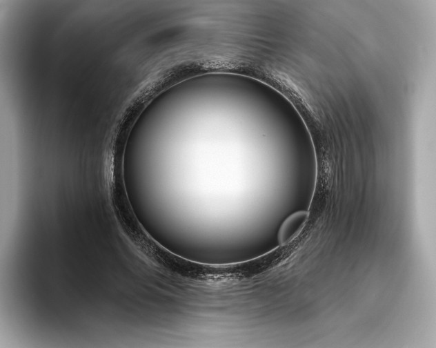 X0000094190686200710261132