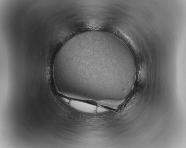 X0000094190689200710261132