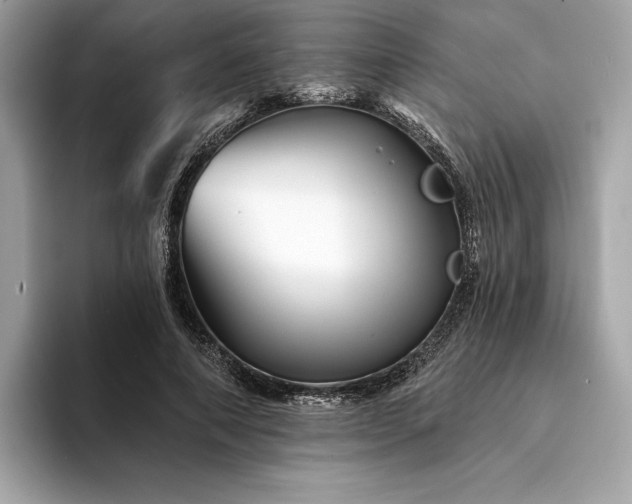X0000094190690200710261132