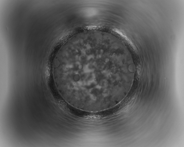 X0000094190691200710261132