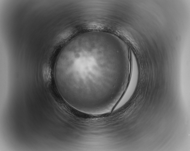 X0000094190692200710261132