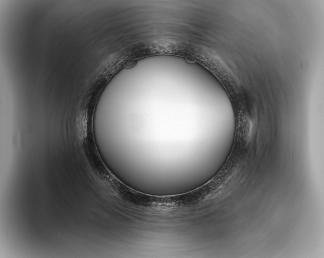 X0000094190694200710261132