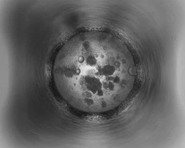 X0000094190695200710261132