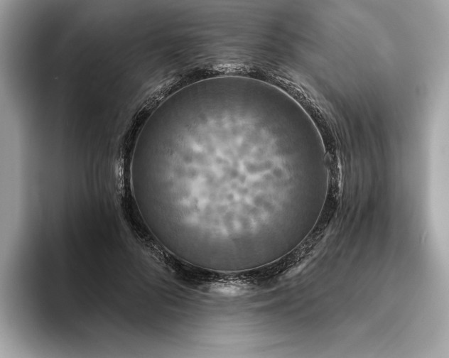 X0000094190696200710261132