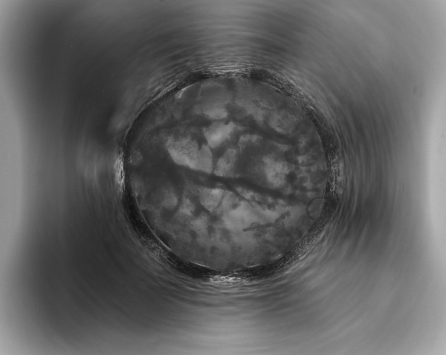X0000094190699200710261132