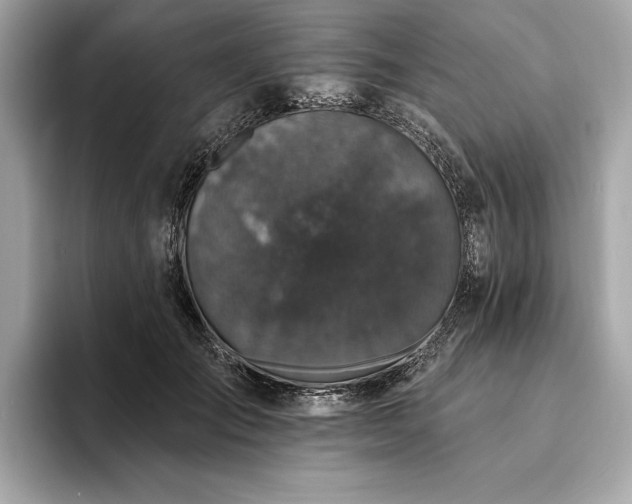 X0000094190701200710261132