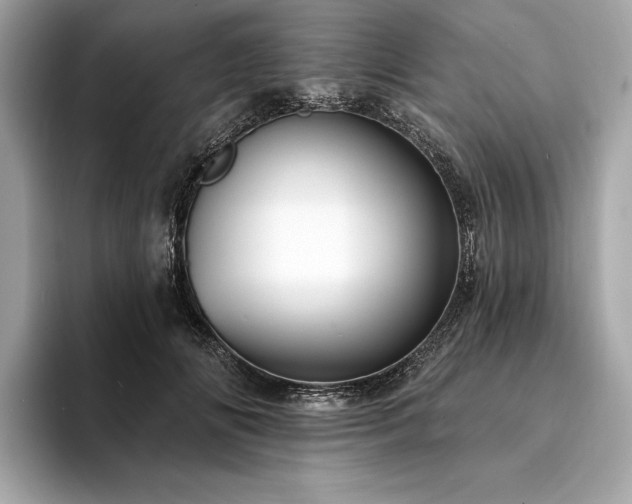 X0000094190702200710261132