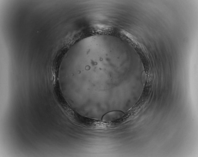 X0000094190703200710261132