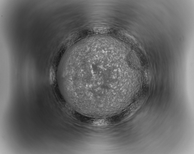 X0000094190705200710261132