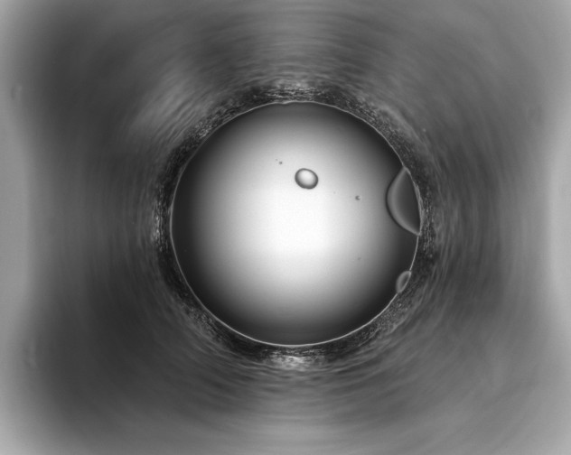 X0000094190706200710261132
