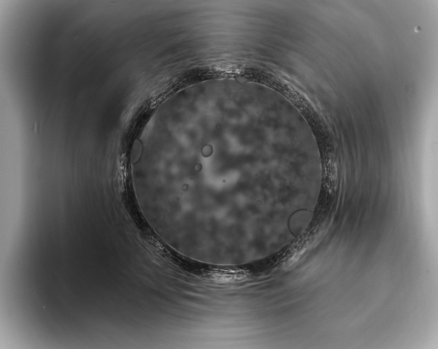 X0000094190707200710261132