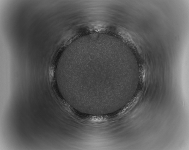 X0000094190709200710261132