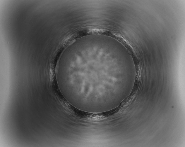 X0000094190716200710261131