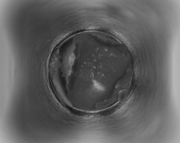 X0000094190721200710261131